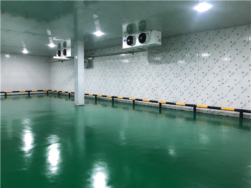 U8网页版登录入口_U8（中国）蔬菜保鲜库